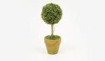 ΓΛΑΣΤΡΑΚΙ ΚΟΡΜΟΣ ΠΥΞΑΡΙ 21cm x 8cm ST12-T320 0532021