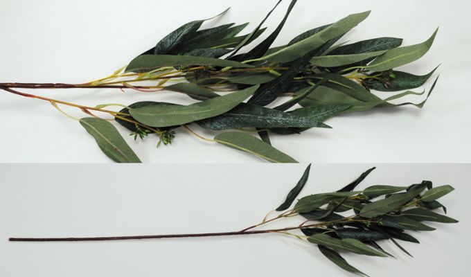 ΚΛΑΔΙ ΕΥΚΑΛΥΠΤΟΣ 90cm  1 ΤΕΜΑΧΙΟ