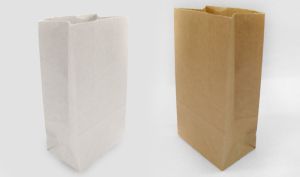 ΧΑΡΤΙΝΟ ΤΣΑΝΤΑΚΙ ΧΩΡΙΣ ΧΕΡΑΚΙΑ 9cm x 18cm 0402072 50 ΤΕΜΑΧΙΑ