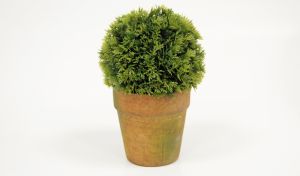 ΓΛΑΣΤΡΑΚΙ ΜΠΑΛΑ 19cm x 12cm ST14-T095  1 ΤΕΜΑΧΙΟ