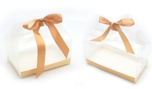 ΚΟΥΤΙ ΔΙΑΦΑΝΟ ΓΙΑ ΔΩΡΟ 19cm x 10cm x 9cm 0402221
