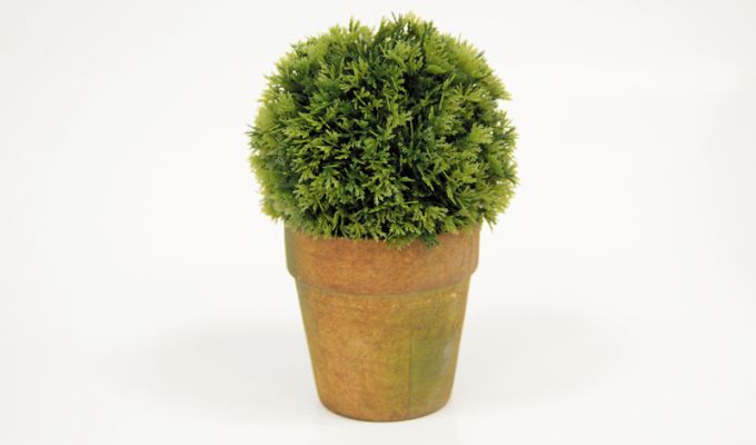 ΓΛΑΣΤΡΑΚΙ ΜΠΑΛΑ 19cm x 12cm ST14-T095  1 ΤΕΜΑΧΙΟ